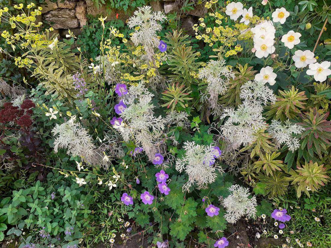A designed garden border in full colour