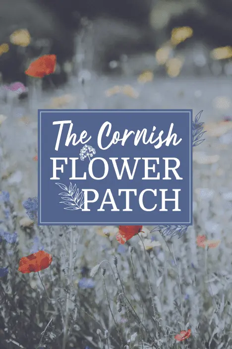 The Cornish Flower Patch branding