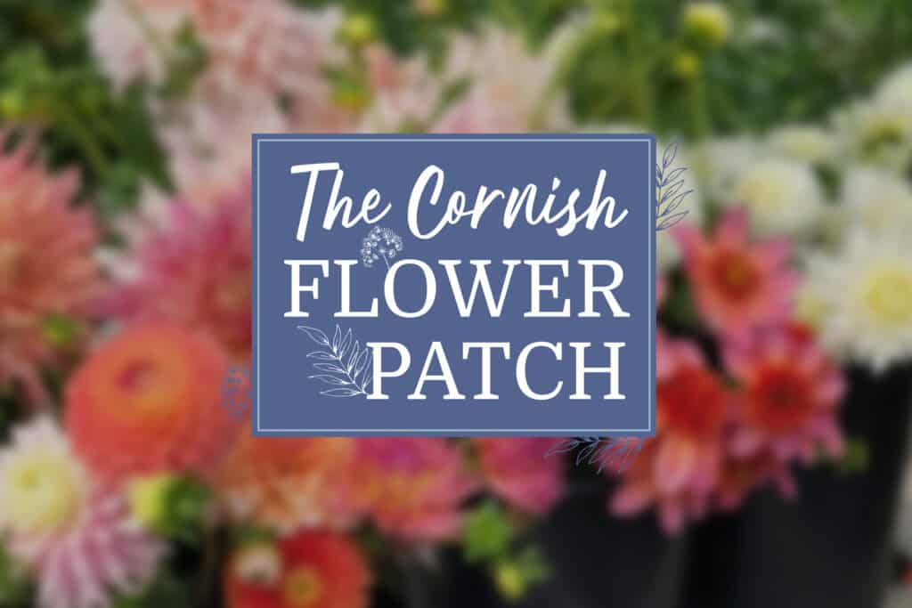The Cornish Flower Patch 000 - Sanders Design